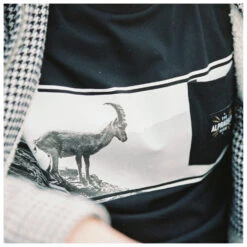 Steibock Max - Longsleeve 7 Steibock Max - Longsleeve -Maloja Geschäft alprausch steibock max longsleeve detail 4