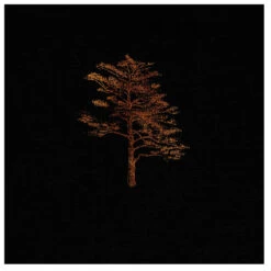 Tree - Pullover 8 Tree - Pullover -Maloja Geschäft kultgut tree pullover detail 4